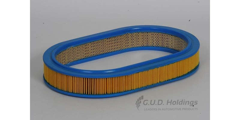 AG703 Air Filter Ford/Mazda (GUD)
