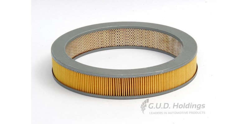 AG704 Air Filter Nissan (GUD)