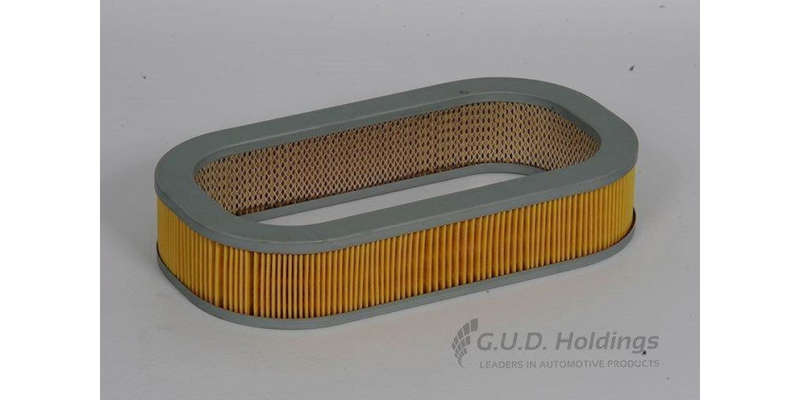AG706 Air Filter Honda (GUD)