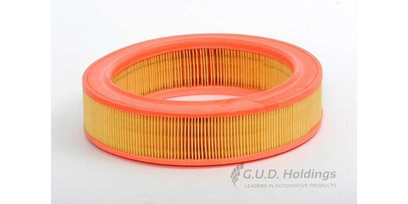 AG715 Air Filter Renault (GUD)