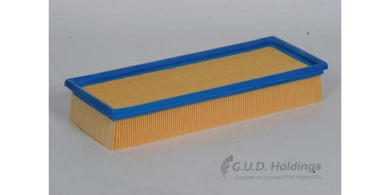 AG718 Air Filter Audi/Vw (GUD)