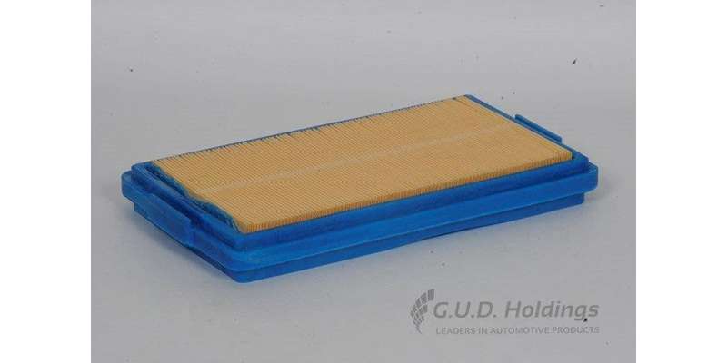 AG724 Air Filter Bmw (GUD)
