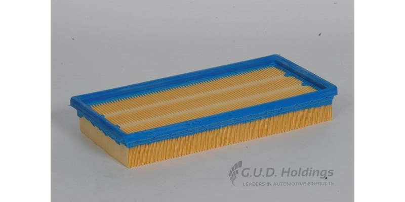 AG725 Air Filter Vw (GUD)