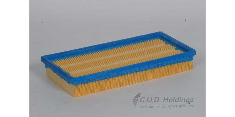 AG725 Air Filter Vw (GUD)