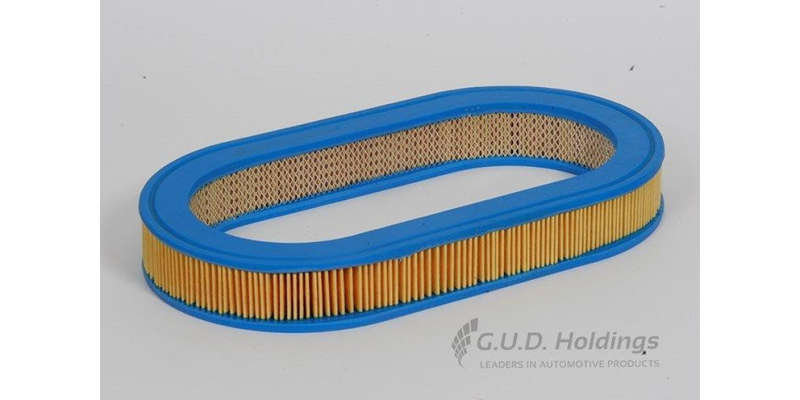 AG729 Air Filter Mazda (GUD)