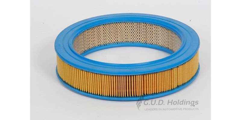 AG736 Air Filter Mitsubishi (GUD)