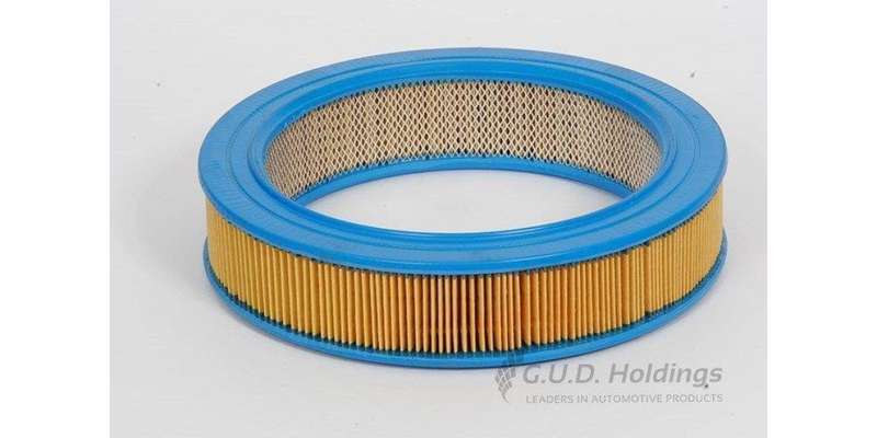 AG736 Air Filter Mitsubishi (GUD)