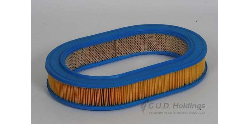 AG737 Air Filter Mitsubishi (GUD)