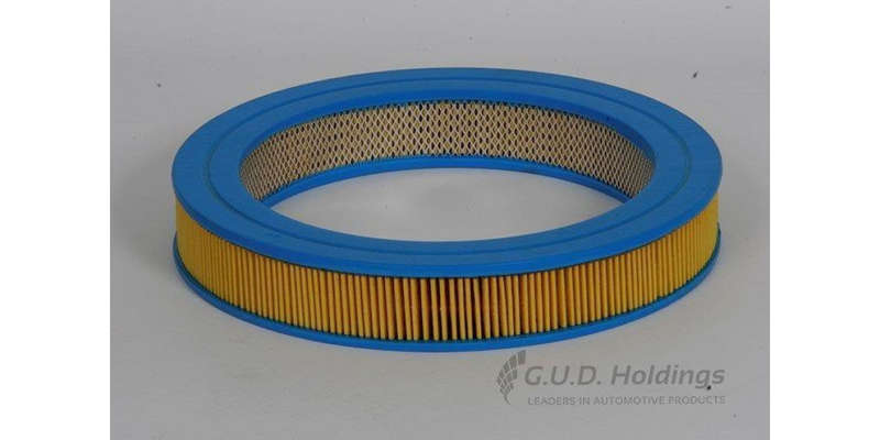 AG738 Air Filter Honda (GUD)