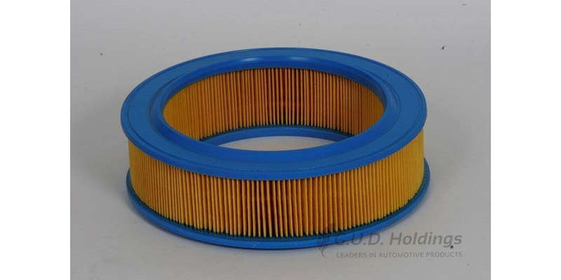 AG741 Air Filter Ford (GUD)