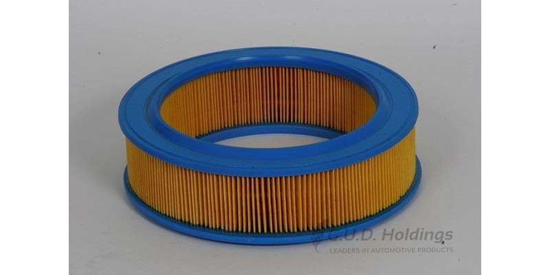 AG741 Air Filter Ford (GUD)