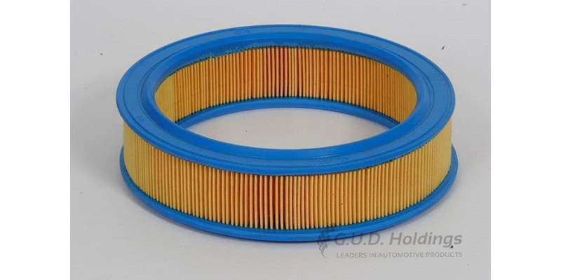 AG751 Air Filter Renault (GUD)