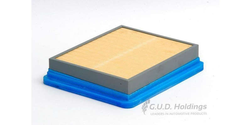 AG765 Air Filter Ford/Mazda (GUD)