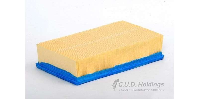 AG771 Air Filter Bmw (GUD)