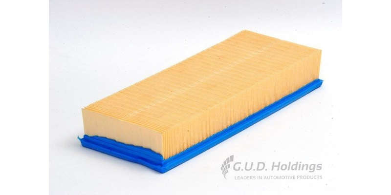 AG791 Air Filter Bmw (GUD)