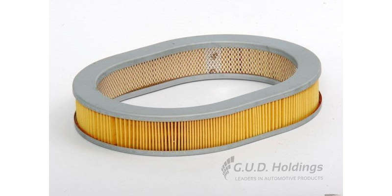 AG805 Air Filter Honda (GUD)