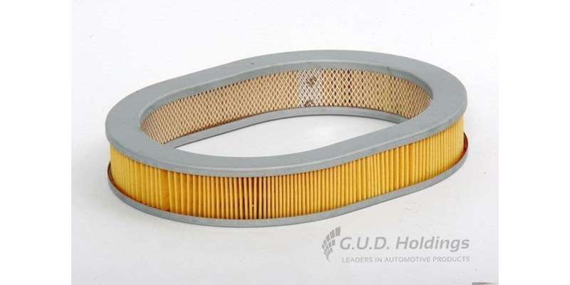 AG805 Air Filter Honda (GUD)
