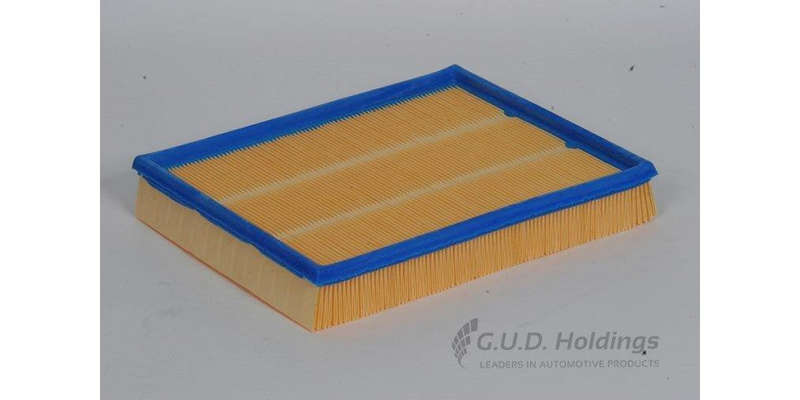 AG821 Air Filter Ford (GUD)