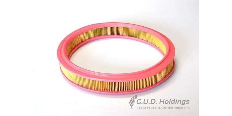 AG825 Air Filter Ford/Mazda (GUD)