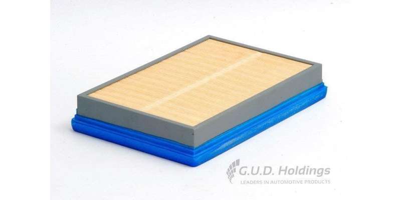 AG833 Air Filter Mazda/Ford (GUD)