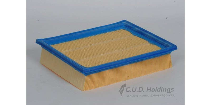 AG837 Air Filter Vw (GUD)