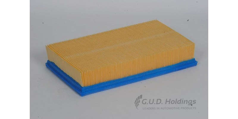 AG838 Air Filter Audi/Vw (GUD)
