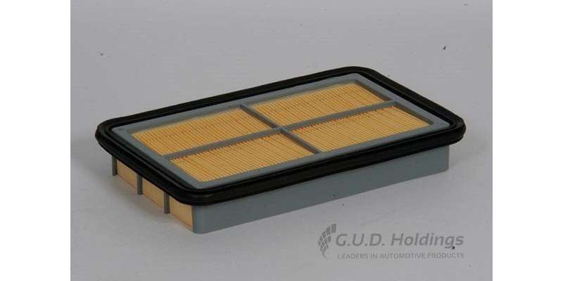 AG853 Air Filter Ford/Mazda (GUD)