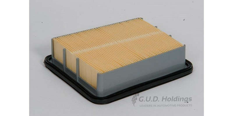 AG854 Air Filter Ford/Mazda (GUD)