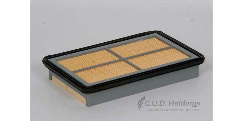 AG873 Air Filter Mazda/Ford (GUD)