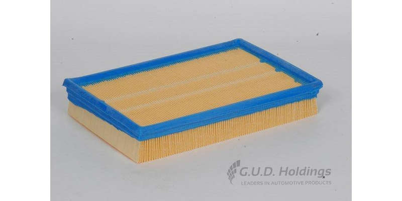 AG879 Air Filter Vw Polo/Citi Golf (GUD)