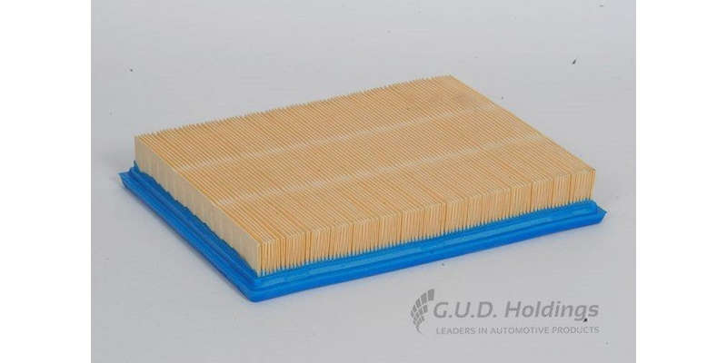 AG894 Air Filter Ford Falcon (GUD)