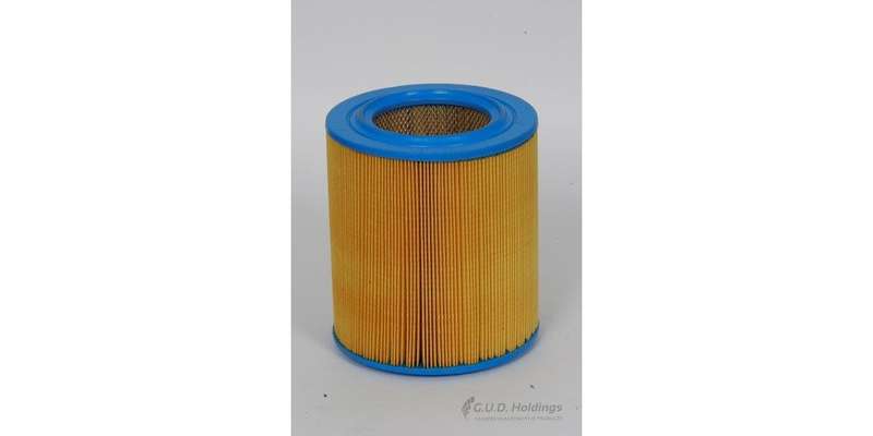 AG901 Air Filter Mazda/Ford (GUD)