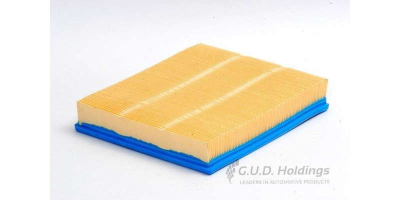 AG906 Air Filter Daewoo Cielo/Espero (GUD)