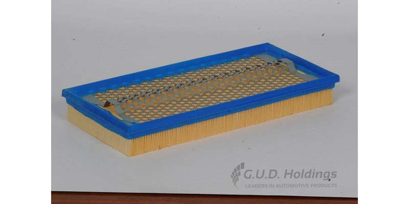AG913 Air Filter (GUD)