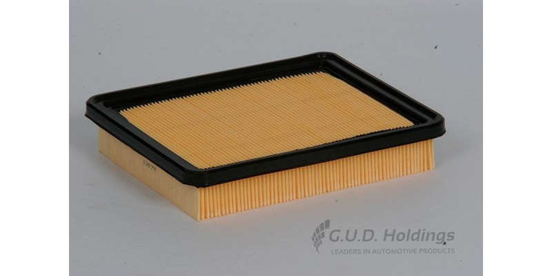 AG924 Air Filter Hyundai Accent (GUD)