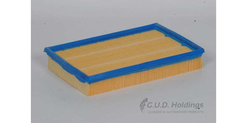 AG925 Air Filter Ford Fiesta/Mazda Soho (GUD)