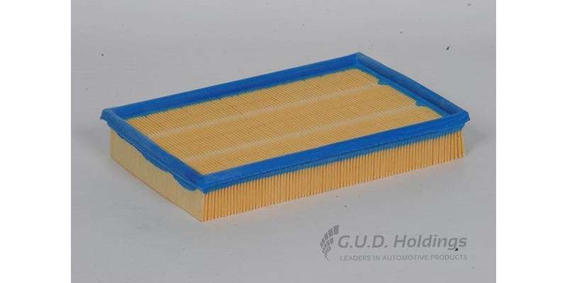AG925 Air Filter Ford Fiesta/Mazda Soho (GUD)