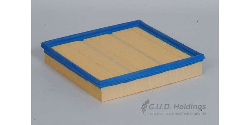 AG930 Air Filter Bmw (GUD)