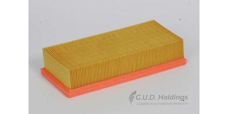 AG946 Air Filter (GUD)