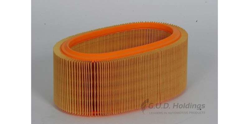 AG984 Air Filter Megane 1.6Rt/2.0/2.0 Rxe (GUD)
