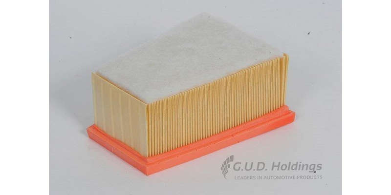 AG985 Air Filter (GUD)