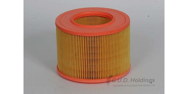 AG994 Air Filter Ane 2.0 Rxe (GUD)