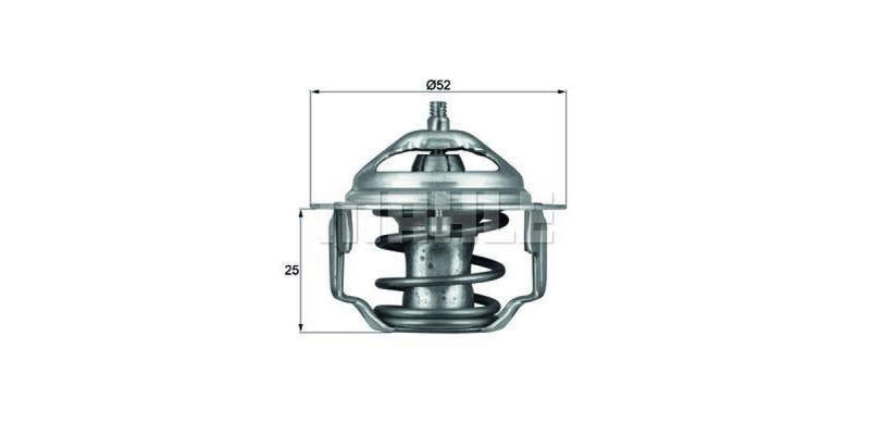 Behr-Mahle Thermostat Hyndai Accent (Tx6482)