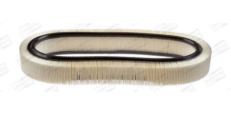 Caf100148R Air Filter Ag719