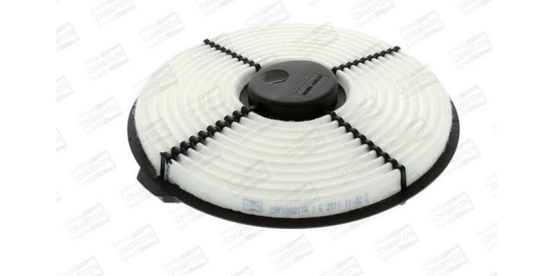 Caf100211R Air Filter Ag847