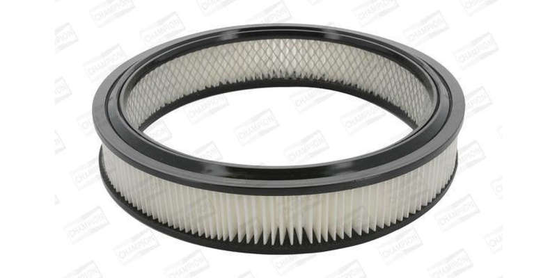 Caf100224R Air Filter Ag804