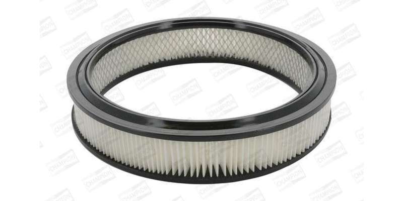 Caf100224R Air Filter Ag804