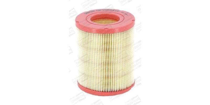 Caf100441C Air Filter Ag1019
