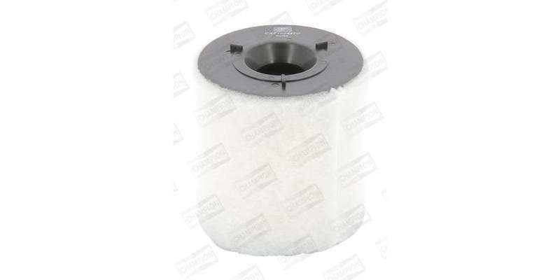 Caf100487C Air Filter Ag1384