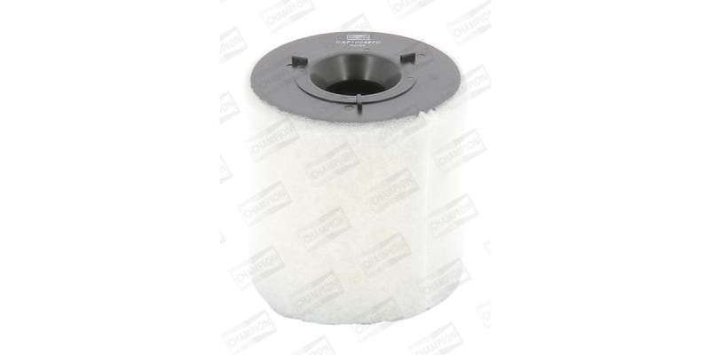 Caf100487C Air Filter Ag1384